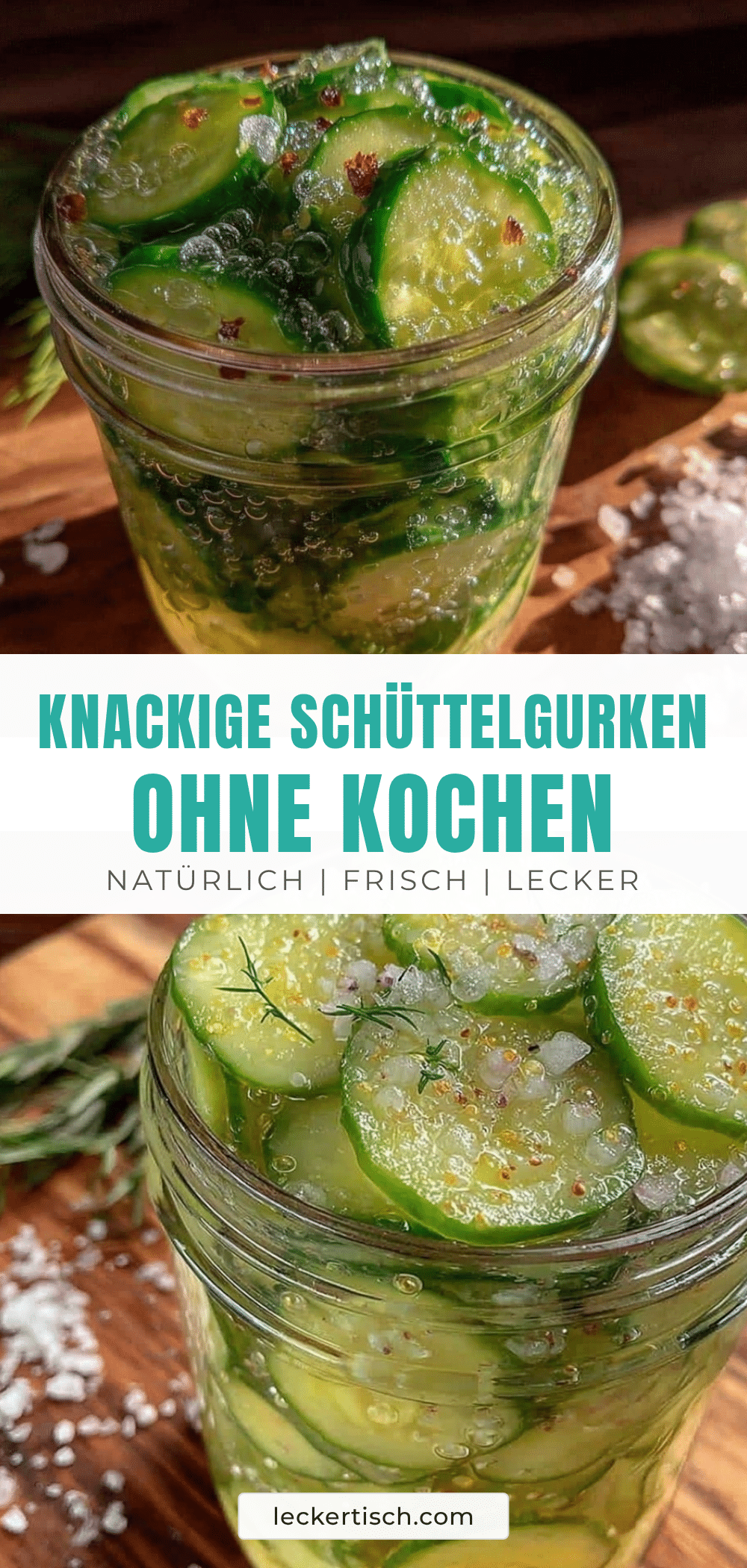Schüttelgurken fermentieren ohne Kochen recipe